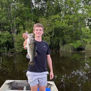 Meet your Posher, Hoke